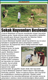 Sokak-Hayvanları-Beslendi