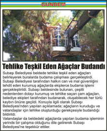 Tehlike-Teşkil-Eden-Ağaçlar-Budandı