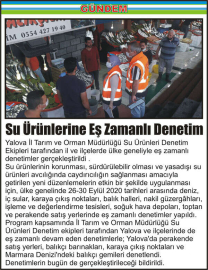 Su-Ürünlerine-Eş-Zamanlı-Denetim