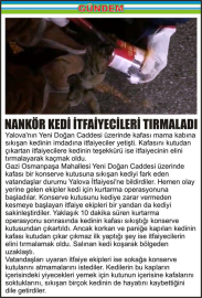 NANKÖR_KEDİ_İTFAİYECİLERİ_TIRMALADI