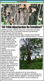 “60-Yıllık-Ağaçlardan-Ne-İstediniz”