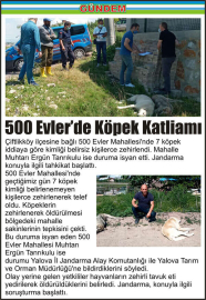 500-Evler’de-Köpek-Katliamı