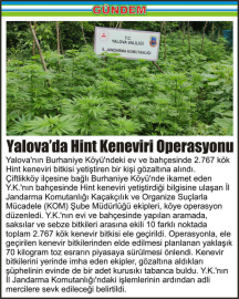 Yalova’da-Hint-Keneviri-Operasyonu