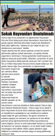 Sokak_Hayvanları_Unutulmadı