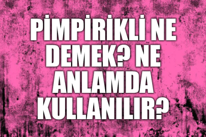 Pimpirikli ne demek? Ne anlama geliyor? Cümle içinde kullanımı