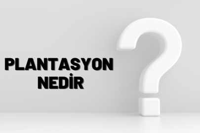 Plantasyon nedir? Ne anlama gelir?