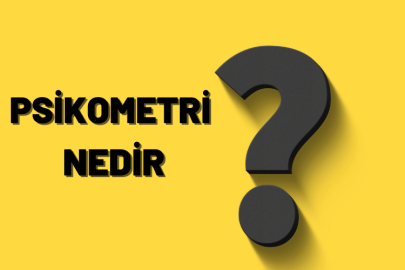 Psikometri nedir? Ne için kullanılır? Ne işe yarar?