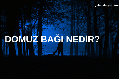 Domuz Bağı Nedir Nasıl Yapılır? Domuz Bağı Neden Öldürür?