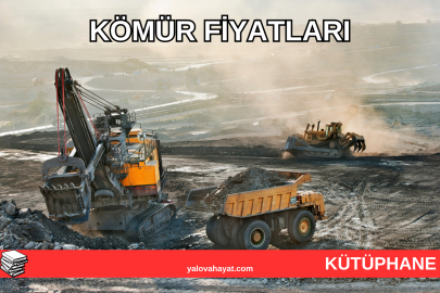 1 ton kömür fiyatı 2023, bir torba kömür ne kadar?