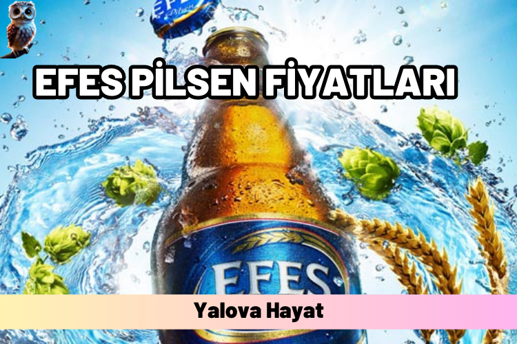 efes bira fiyatları