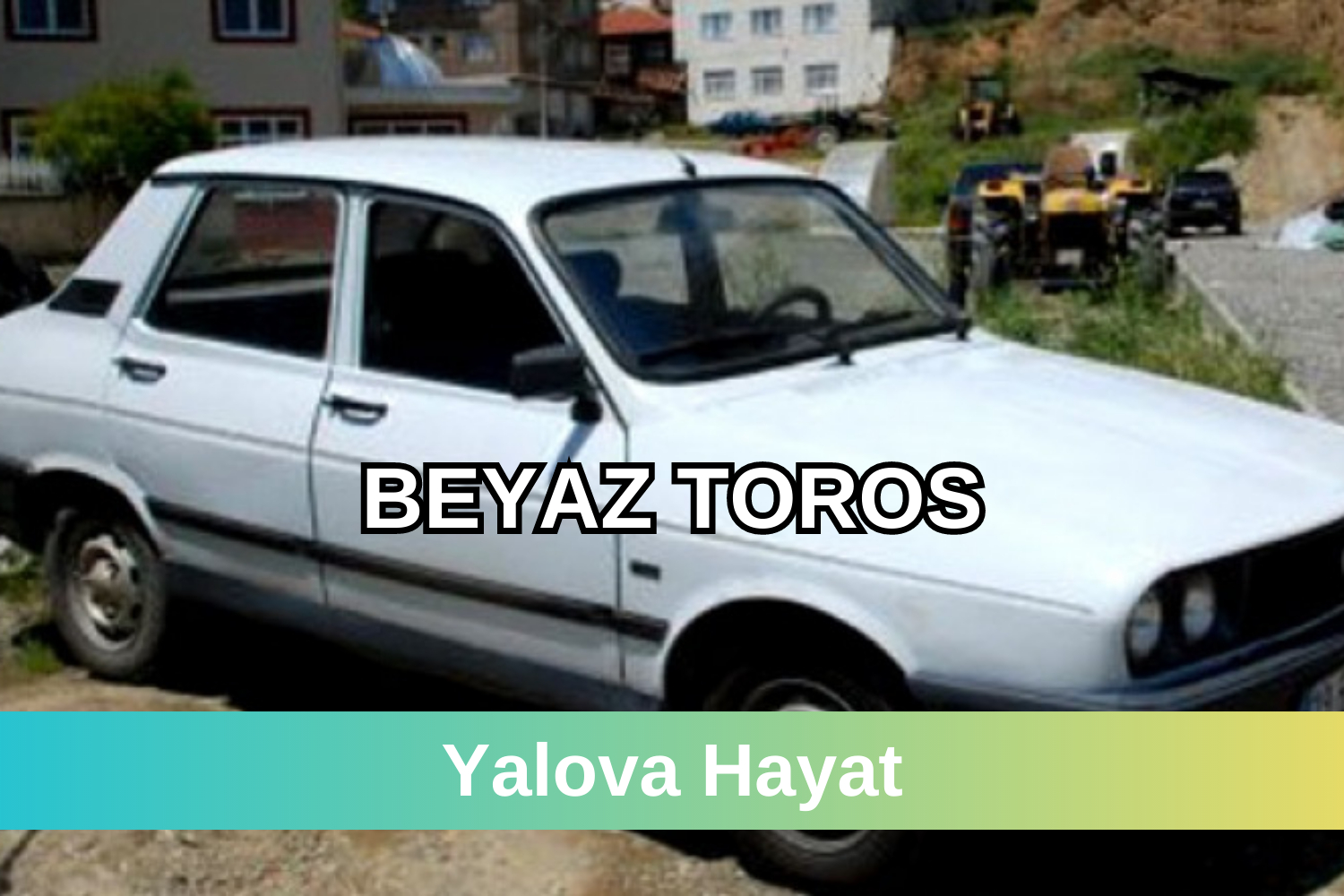 beyaz toros