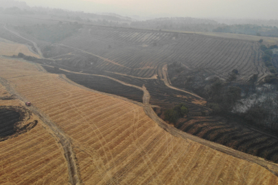 Çanakkale'de 4 bin 80 hektar alan kül oldu