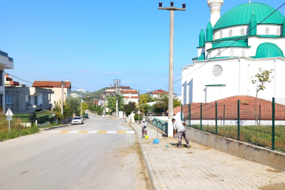 Yalova Kadıköy’de Yabani Ot Temizleme ve İlaçlama Çalışmaları Devam Ediyor