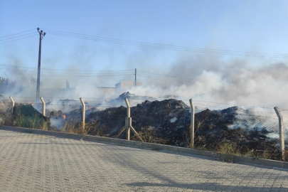 Yalova Altınova’daki yangın korkuttu