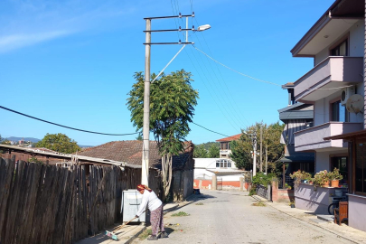 Yalova Kadıköy Belediyesi Çevre Düzenleme Çalışmalarına Büyük Bir Özen Gösteriyor