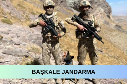 Başkale'de Jandarma çok sayıda silah ve mühimmat ele geçirdi