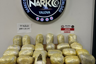 Yalova’da büyük narkotik operasyon: 14 kilo 600 gram skunk ele geçirildi