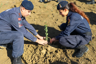 Yalova’da Jandarma Ağaçlandırma Günü’nde fidan dikti