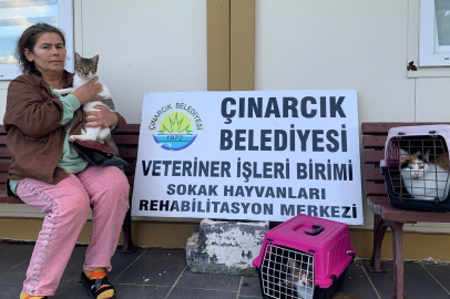 Çınarcıkta sıcak bir yuva arayan minikler yeni sahibine kavuştu