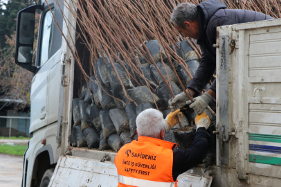 Yalova’da 40 çiftçiye 3 bin 750 fidan dağıtıldı