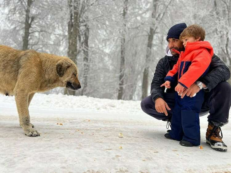 Kuç Uçuşu Kenan Sezgin (İbrahim Çelikkol)