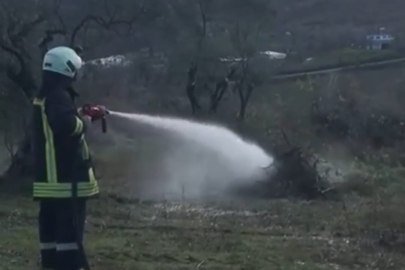 Yalova Çınarcık’ta zeytinlik alanda çıkan yangına anında müdahale edildi