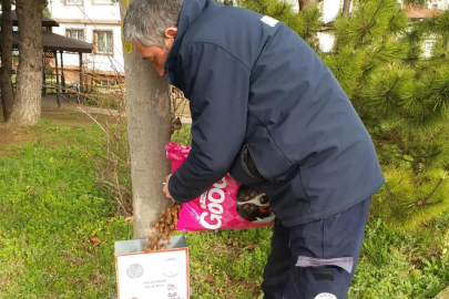 Yalova Subaşı’nda sokak hayvanlarına mama verildi