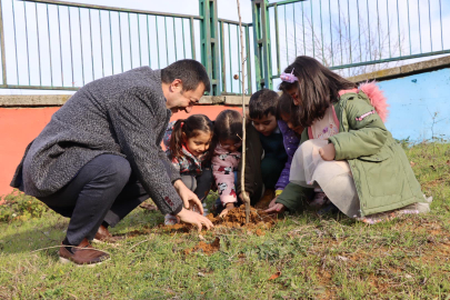 Yalova Subaşı Belediyesi Meyve Ağacı Projesinin ikinci etabını gerçekleştirdi