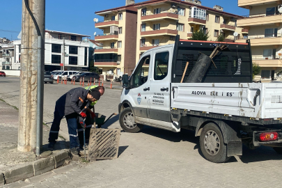 Yalova'da kanal ve mazgallar temizleniyor