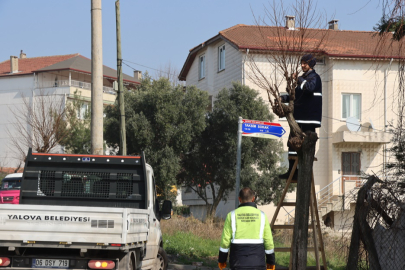 Yalova’da Radar Caddesi’nde budama çalışması