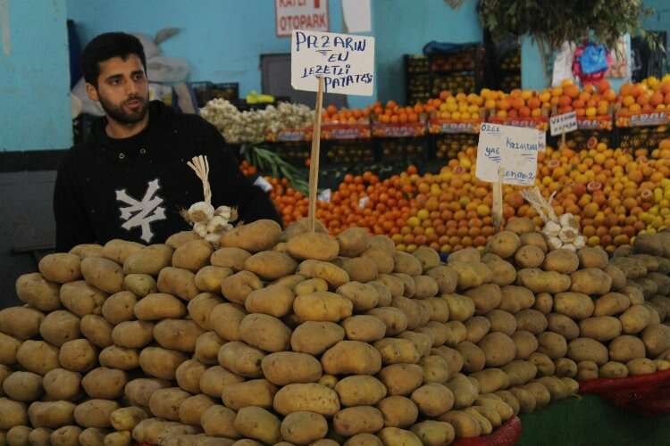 Fiyatlar Düşüyor, Pazar canlanıyor! Yalova Meyve Sebze Pazarı müşterilerini şaşırtıyor