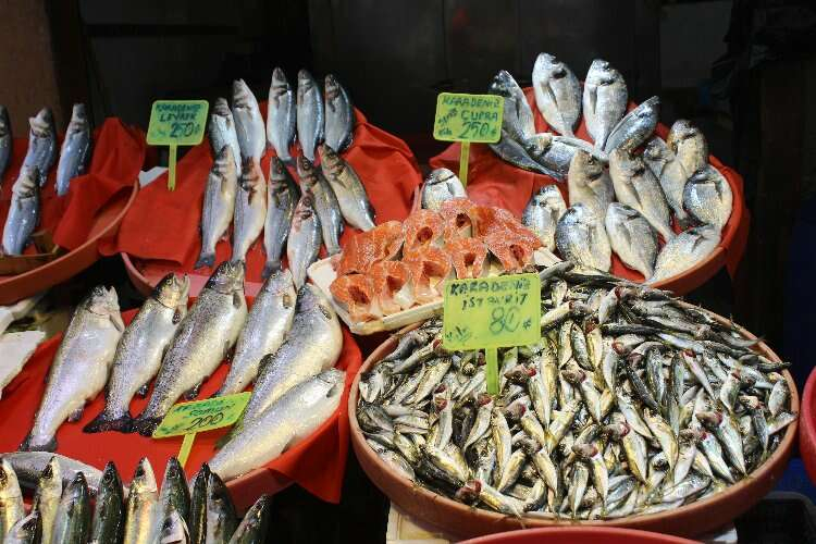 Yalova'da mart ayı balık fiyatları