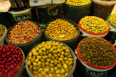 Zeytin fiyatları her geçen gün artıyor, üreticiler mazot fiyatlarından yakınıyor