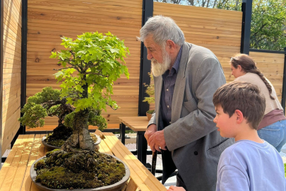 Türkiye’nin ilk Bonsai Müzesi bayramda ilgi gördü