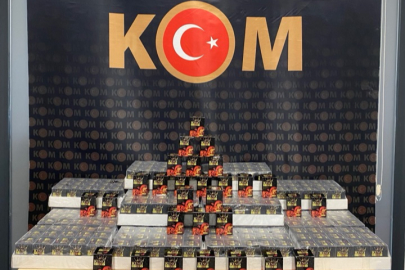 Yalova'da kaçak bitkisel macun operasyonu! 2 ton 367 kilo epimedyum ve ginseng içerikli macun ele geçirildi