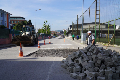 Altınova’da kasis çalışmaları başladı