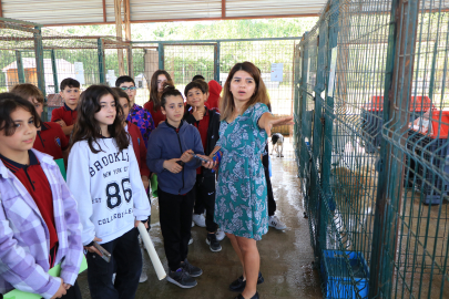 Öğrenciler, Çiftlikköy Hayvan Barınağında İngilizce dersi yaptı