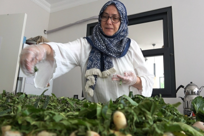 İpek böceği kozası kadınlara gelir kapısı oldu