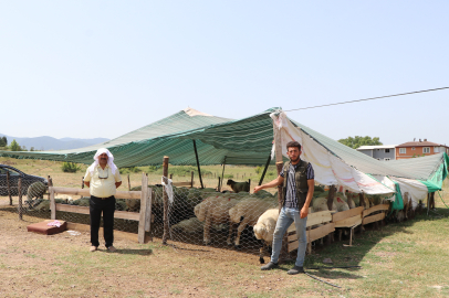 Çiftlikköy’de kurban pazarı bayrama hazır