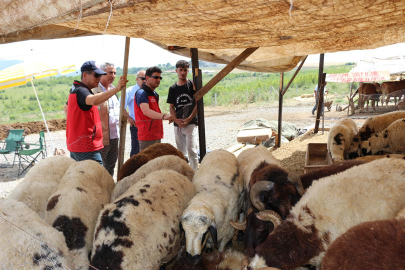 Tarım ve Orman Müdürü Parıldar kurban pazarında vatandaşı bilgilendirdi