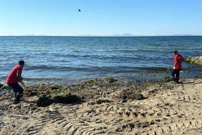 Yalova Belediyesi, sahil temizliğine ara vermiyor