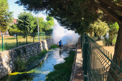 Çiftlikköy’de haşere ile mücadele hız kazandı