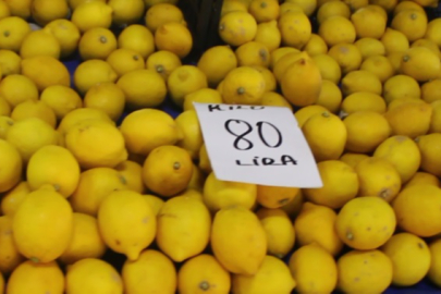 Zam şampiyonu ‘Limon’daki fiyat artışı durdurulamıyor! Yalova'da limonun kilosu 80 TL!