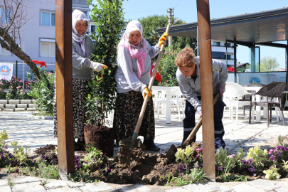 Çiftlikköy’de Park ve bahçeler düzenleniyor