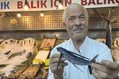 Marmara Denizi açıklarında ilginç balıklar yakalandı!