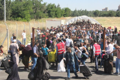 Türkiye’de nerede kaç Suriyeli yaşıyor netleşti! İşte Yalova’da yaşayan Suriyeli sayısı