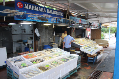 Yalova balık pazarında bu hafta neler var? Fiyatlar ne durumda?