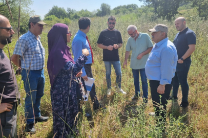 Yalova Belediyesi ve DKMP, hayvan bakım evi çalışmalarına başladı