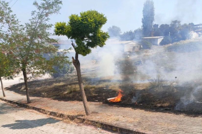 Yalova'da Korkutan Arazi Yangını Kontrol Altına Alındı