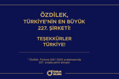 Özdilek, Türkiye’nin en büyük 227. şirketi